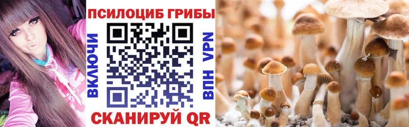 Купить закладки  Бакал  Псилоцибиновые грибы Magic Shrooms 